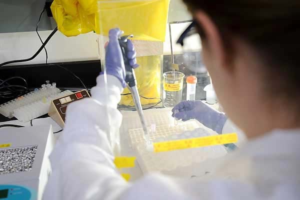 circuito-laboratorio-dengue